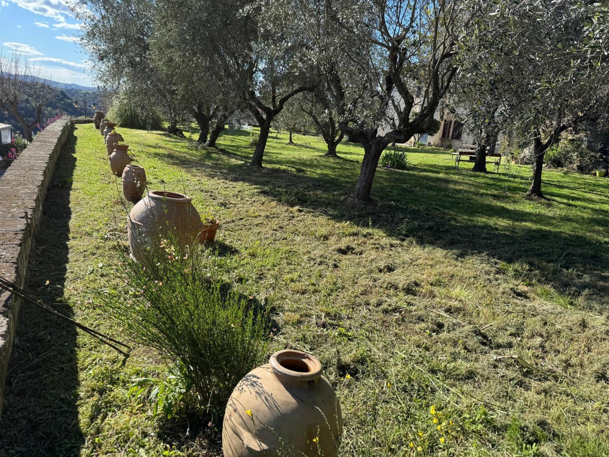 Le Del Ceccottino Affittacamere